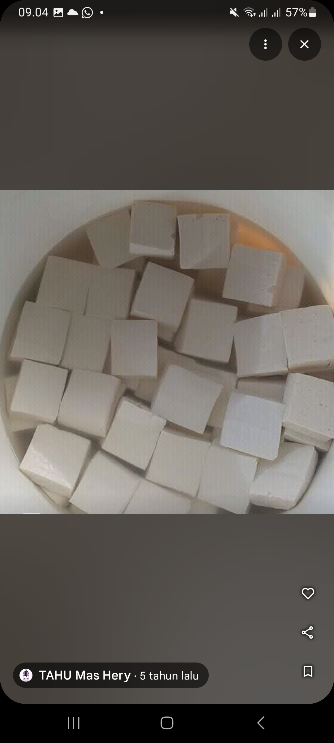 Tahu Putih Satu Bungkus
